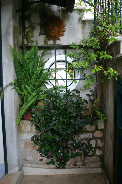 Foto12 - 